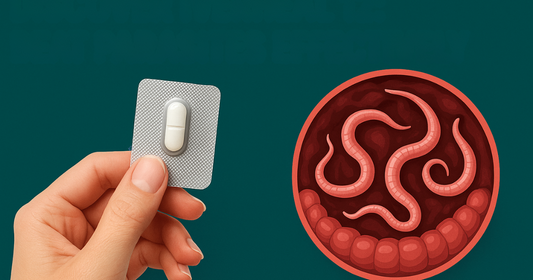 A person holding Iverheal 12 medicine for the parasitic infections.