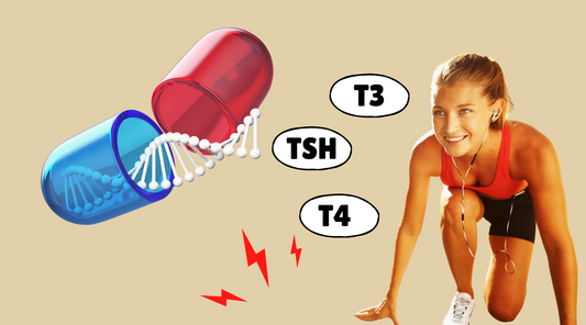 Regain energy with Thronorm