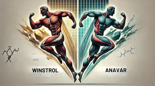 Contrast between the two steroids Winstrol Vs Anavar