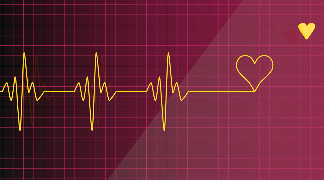 Lifeline in an electrocardiogram