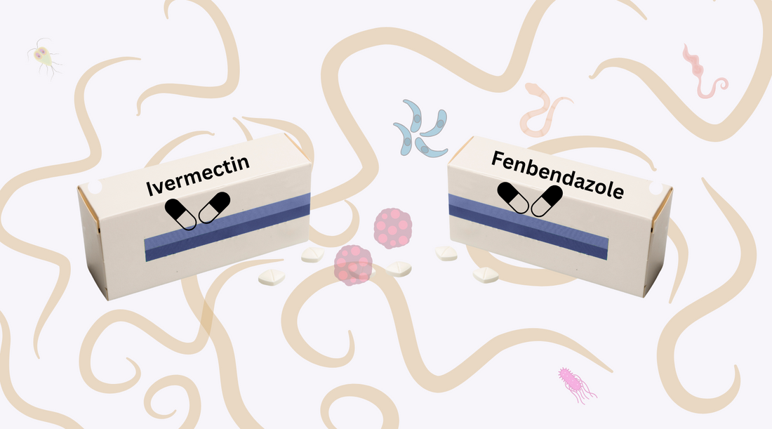 Ivermectin and Fenbendazole medicines medicine pack indicating parasitic medications around parsites.