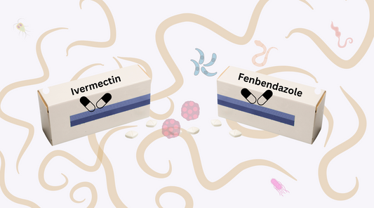 Ivermectin and Fenbendazole medicines medicine pack indicating parasitic medications around parsites.
