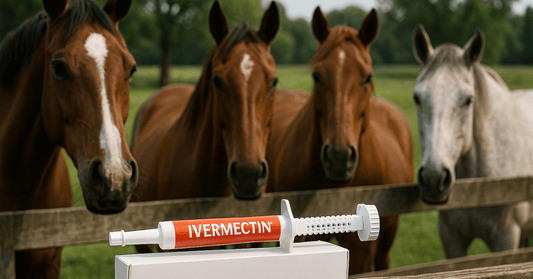 Ivermectin in front of horses standing at a fence.